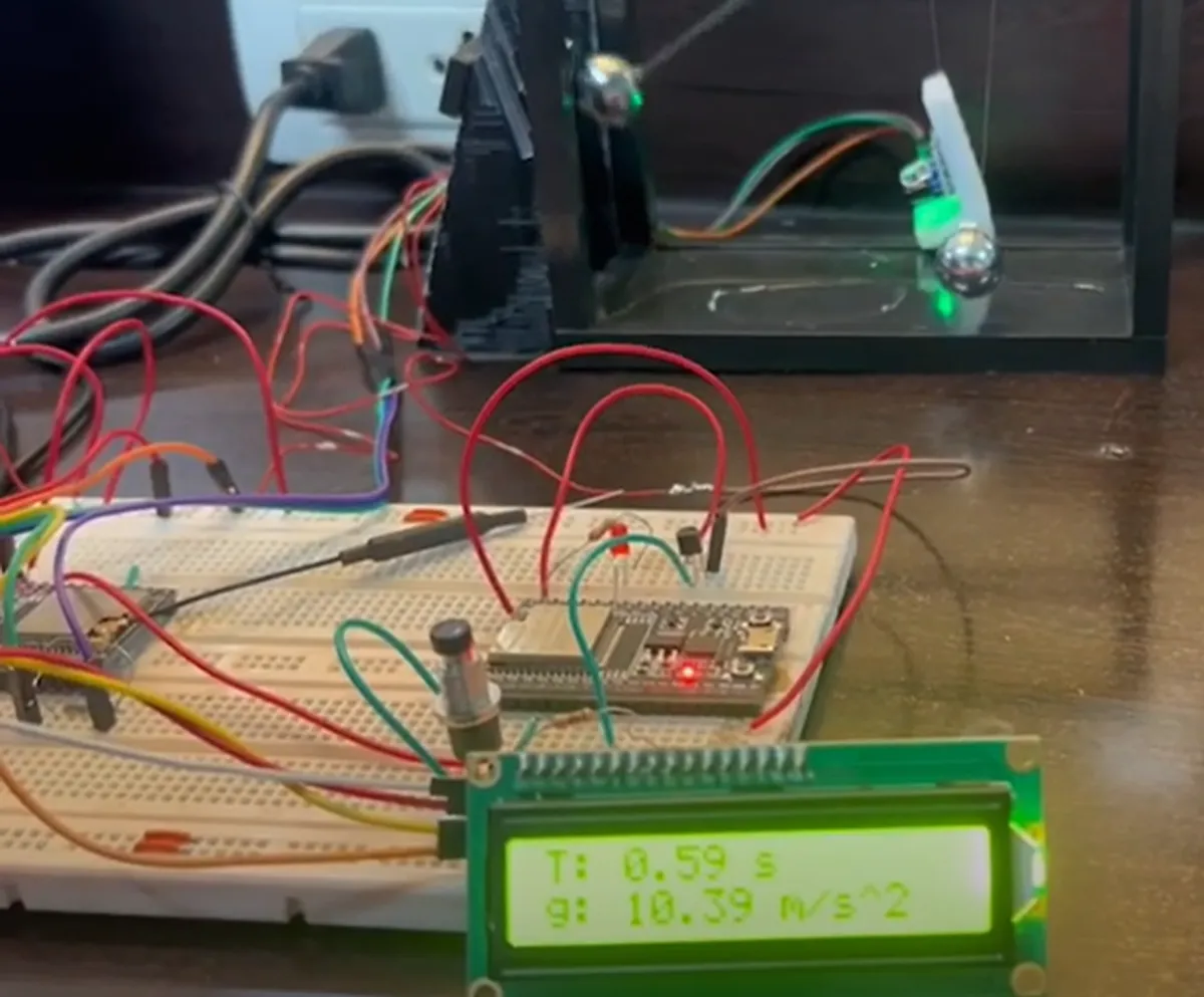 The simple harmonic model measures the period, acceleration due to gravity, and angular velocity.